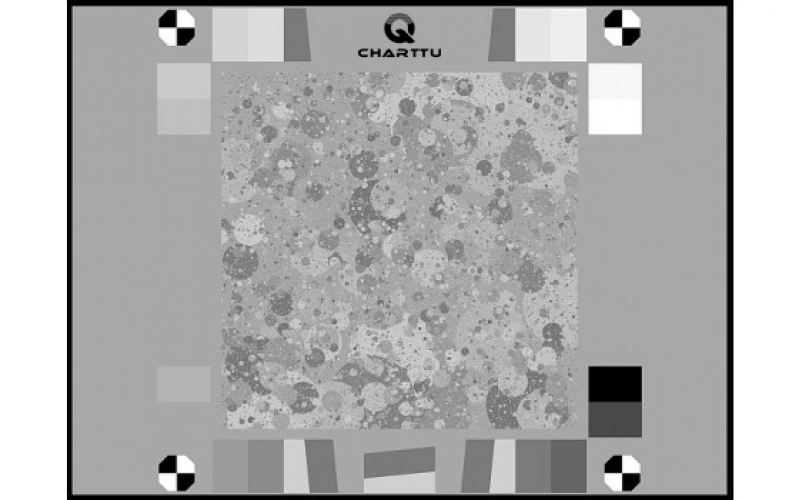 黑白枯葉紋理清晰度恰圖